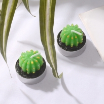 多肉仙人掌蜡烛创意生日无烟蜡烛微景观香薰蜡烛表白婚庆蜡烛